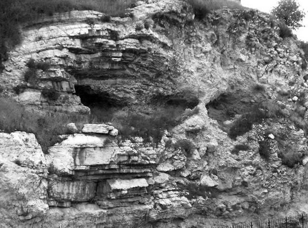 informatizzazione a cura di B. Durante